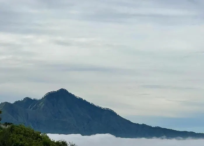 فيلة Pinggan Retreat *